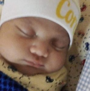 Meet your Posher, Rosa